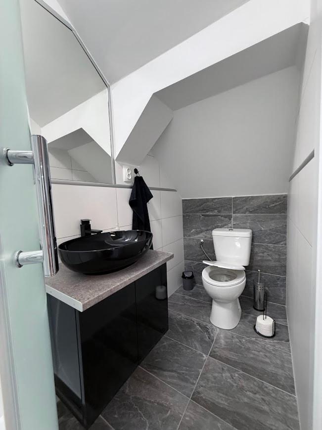 Hotel Kuriozum Vendeghaz Segedín Exteriér fotografie
